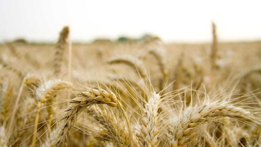 img_Rekordosszegu_agrartamogatasok_erositik_a_magyar_gazdakat__Borsod-Abauj-Zemplenben_is