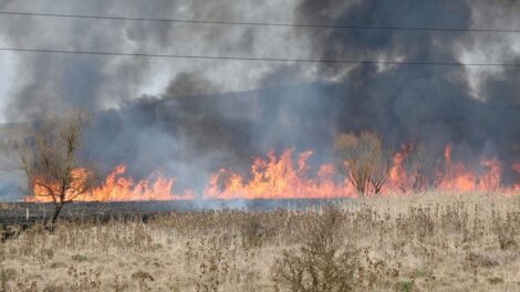 Szabadtéri tüzek Borsod-Abaúj-Zemplénben, tűzgyújtási tilalom van érvényben