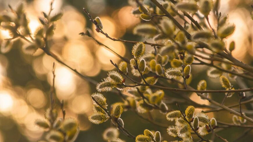 img_Szaraz_idovel_kezdodik_a_meteorologiai_tavasz_Europaban