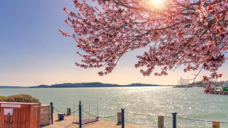 Tavaszi élményekkel hív a Balaton