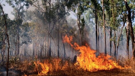 Tegnap is sok tűz volt a vármegyében