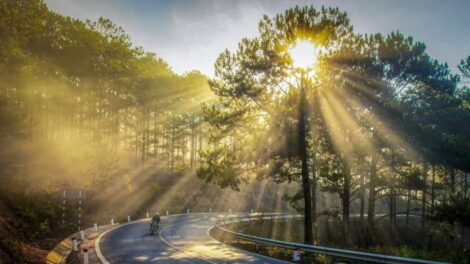 Változékony, de tavaszias időnk lesz hétvégén