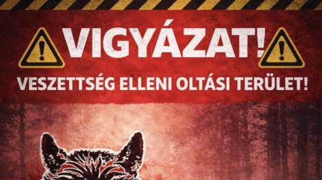 Veszettség elleni vakcinázás Sárospatak térségében
