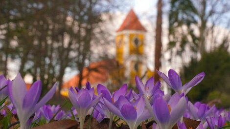 Zavartalan napsütést, de még többfelé fagyos hajnalokat hoz a hétvége