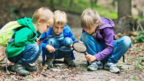 Zöldprojektekre lehet pályázni az E.ON támogatásával