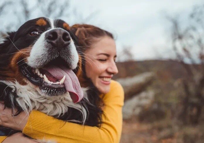 img_allatorvosi_segitseg_applikacion_keresztul