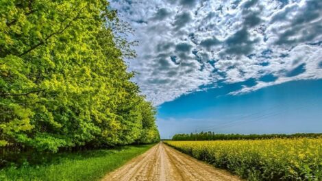 Hidegfront érkezik: szeles, hűvös, de többnyire napos idő