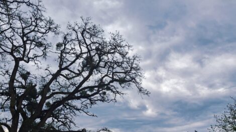 Hidegfront hoz lehűlést, visszatérnek a hajnali fagyok