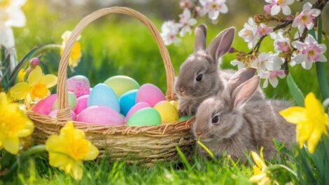 Húsvétkor is a felelős állattartás volt a fókuszban