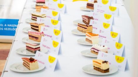Idén rekordszámú, összesen 29 nevezés érkezett a Magyarország Cukormentes Tortája versenyre
