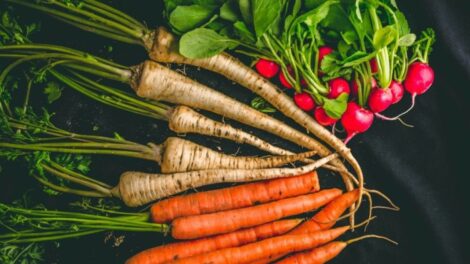 Ingyenes kiadvánnyal segíti az agrárkamara a dísznövény- és zöldségtermesztőket