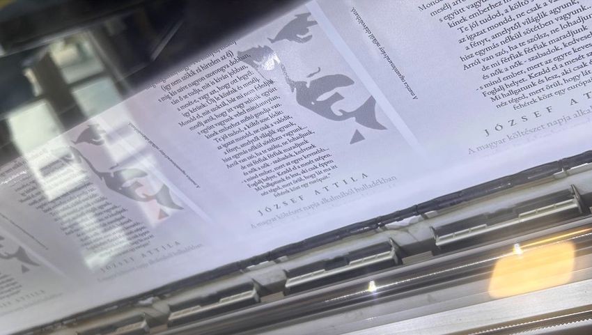 img_Kolteszet_a_kukakon_Borsod-Abauj-Zemplen_varmegyeben