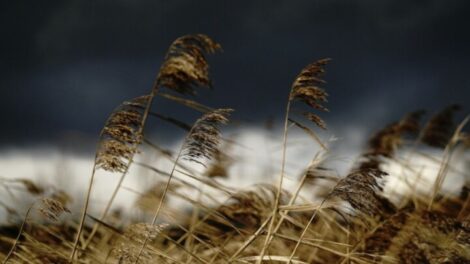 Lehűlés és erős szél várható húsvéthétfőn