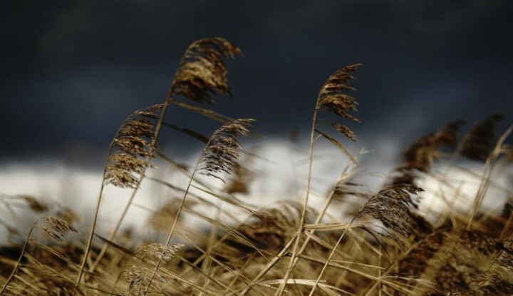 img_Lehules_es_eros_szel_varhato_husvethetfon