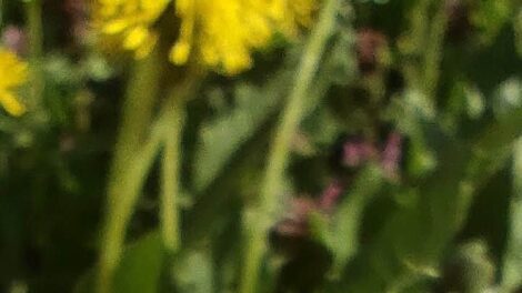 Megérkezett az első nyári nap