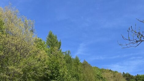 Megújult az Újhutai Ifjúsági Tábor