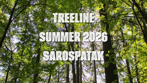 Sárospatak is részt vesz a nemzetközi Treeline projektben