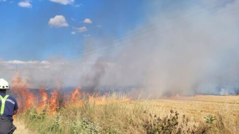 Szabadtéri tüzek adtak munkát a tűzoltóknak