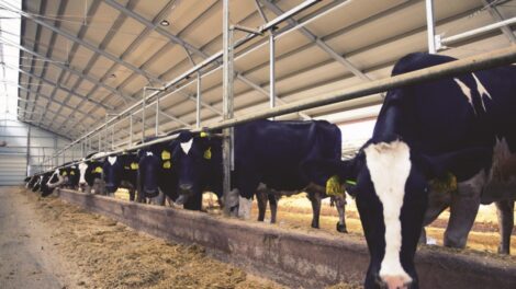 Számos kihívással néz szembe napjainkban a mezőgazdaság