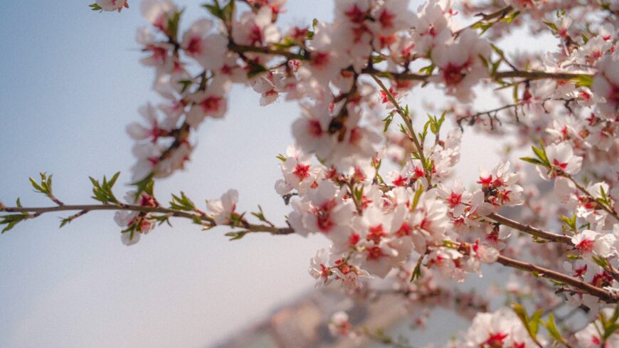 img_Tavaszias_hetvege_sok_napsutessel