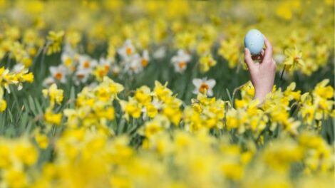 Tavaszias idő várható a húsvéti hosszú hétvégén