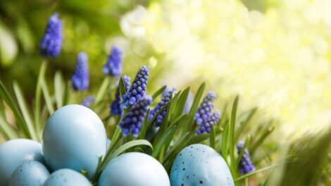 Téli fordulat március végén, majd korai nyár húsvétra