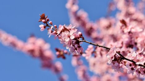 Vasárnap volt az év eddigi legmelegebb napja