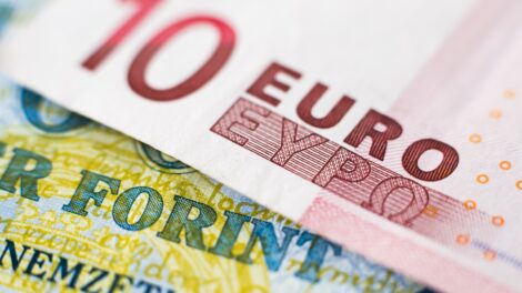 Óvatosságra intenek az euró bevezetésével kapcsolatban