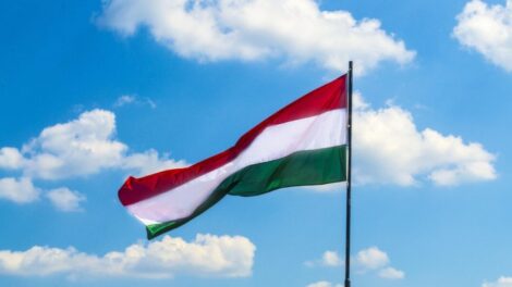 Magyar zászlót égettek Szabadkán, rendőrségi eljárás indult
