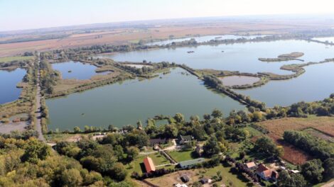 185 tonna hal pusztult el a rétimajori halastavakban
