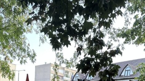 A Szent István Parkban kezdődött Sátoraljaújhelyen az augusztus 20-i ünnepségek sora