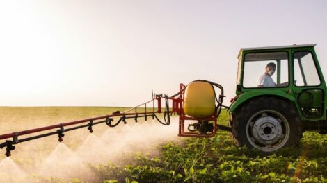 Miénk a világ: Kilenc egyszerű módszerrel csökkenthetjük a vegyszerterhelést