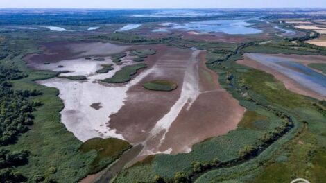 Nagyon alacsony a Tisza vízhozama, rendkívüli intézkedésekre van szükség az ívóvízellátás védelmében