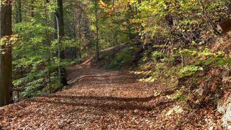 Ötödik alkalommal rendezik meg a Zemplén Kőkapu Trailt