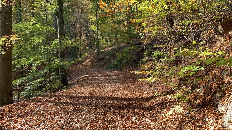 img_otodik_alkalommal_rendezik_meg_a_Zemplen_Kokapu_Trailt