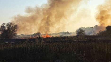 Újabb komoly tűz pusztított Szerencs közelében