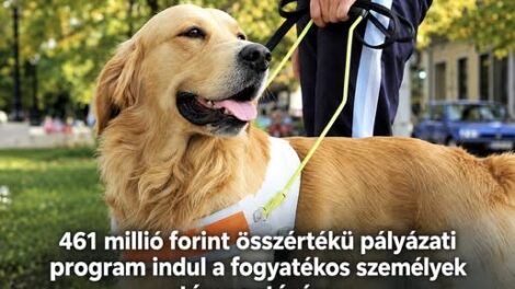 Több mint 460 millió forintos pályázatot írnak ki a fogyatékossággal élők támogatására