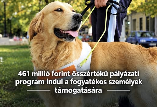 img_Tobb_mint_460_millio_forintos_palyazatot_irnak_ki_a_fogyatekossaggal_elok_tamogatasara