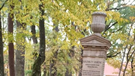 Díjazták az Édes anyanyelvünk verseny legeredményesebb diákjait