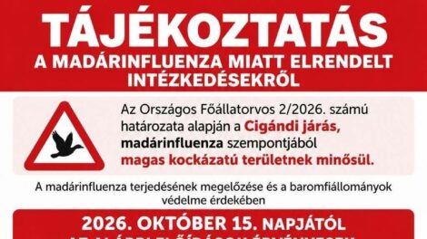 Madárinfluenza: szigorúbb előírások a Cigándi járás baromfitartóinak